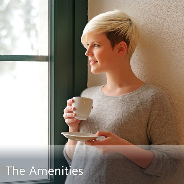 Features & Amenities